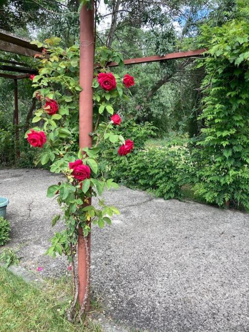 Casa Rural La Fresneda De Tenzuela Сеговія Екстер'єр фото