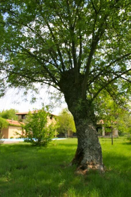 Casa Rural La Fresneda De Tenzuela Сеговія Екстер'єр фото