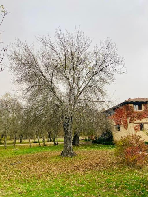 Casa Rural La Fresneda De Tenzuela Сеговія Екстер'єр фото